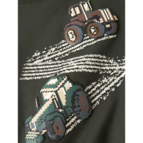 NAME IT Sweatshirt Lavandin Peat